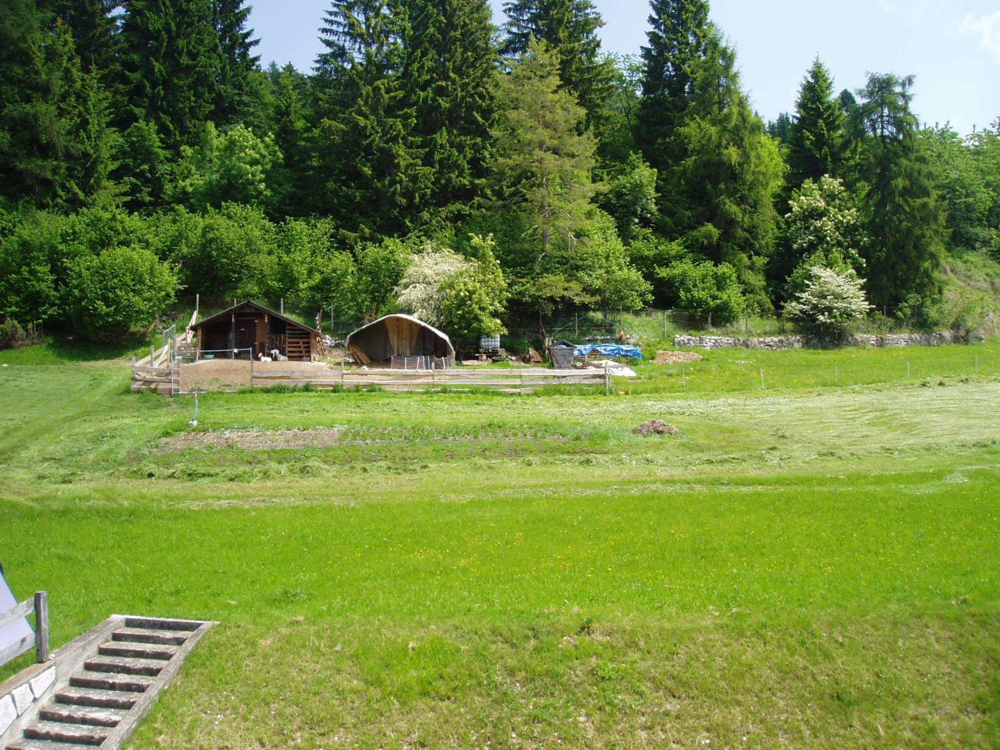 Giongo Residence - Appartamenti Lavarone Dış mekan fotoğraf